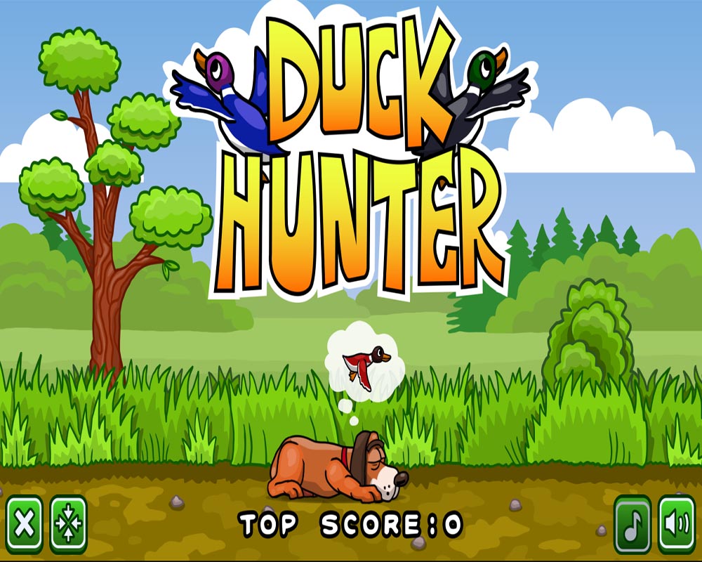 Duckhunter 1